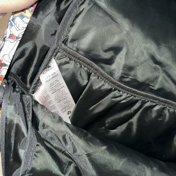 Disneyland backpack main image 4